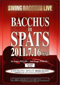 SpatsFlys